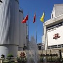 하노이스토리 이미지