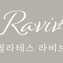 필라테스라비브 네이버블로그