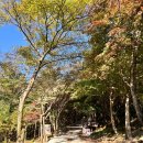 화양강랜드 | [BAC #45] 가리산 등산 기록