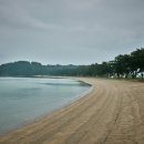 대전해수욕장1 이미지