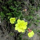 논산 부창동 성당 이미지