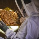 김혜경 태양광발전소 이미지