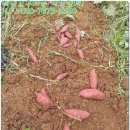 순만농장 이미지