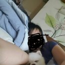 푸른펫살롱 이미지