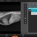 디지레이 이미지