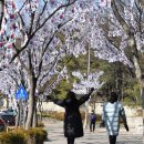(주)포근해 노컷뉴스