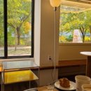 수원-0246 이미지