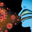 에이치비엘 이미지