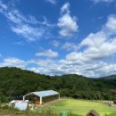 세현농장 | [아기랑 카페] 동화 속 같은 곳, 거창 &#39;세현농장 그리너리&#39;