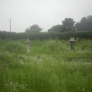 송정동 8-23 이미지