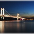 부산갈메기 이미지