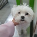 광명로 335번길 이미지