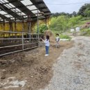 유현 축사 이미지