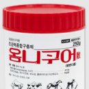 진주 동물약국 이미지