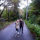 오성산황토한증막 이미지