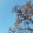 소옥개로 이미지