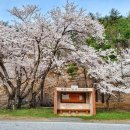 대웅주유소 앞 | 울진 불영사 - 울진 불영사 대웅보전 · 울진 불영사 응진전 · 불영사 삼층석탑 · 불영사 부도