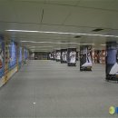 롯데스포츠 이미지