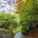 희망로509번길 이미지