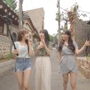 다원투어 이미지