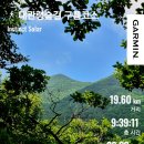 중앙밧데리영동세차장 | 제780차 산행 대관령숲길 구름코스