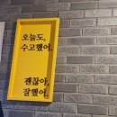 영스비어 이미지