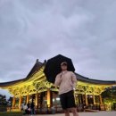 지나라인 | 📍경주 1박 2일 여행 | 호텔라인 숙소 후기, 첨성대·동궁과 월지 야경
