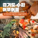 수원 영통 아이와가볼만한곳 어푸어푸 동물카페 후기