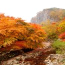 강천산가든 이미지