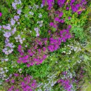 중앙공원배드민턴장 이미지