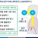 소릿길40년 네이버블로그