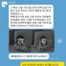 내 마음을 풍선에 | 웨딩촬영 풍선 소품 클로벌룬 플라워백 솔직 후기