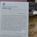육신사(구) Daum카페