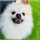 아이조아요양보호소 전남광주점 네이버블로그