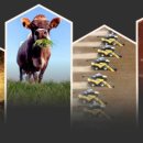 동향슈퍼 이미지