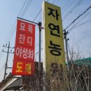 자연농원 - 아산시 신통길 208 | 자연농원