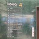 코키아빌딩 이미지