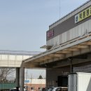 남촌농산물도매시장 | 인천농산물도매시장 구매 후기 2탄(딸기, 참외, 오렌지, 오이 등)