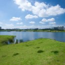 자연과기술(주) 이미지