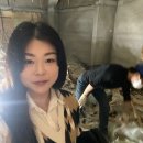 크린씨티 네이버블로그