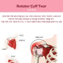 메가한의원 이미지