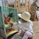 퍼포먼스 놀이 (동물농장) 이미지