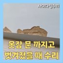 세븐일레븐 의정부호원원룸점 | 원룸 붙박이장 까짐 복구 수리 필름지 시공