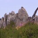 2016-03-0055