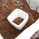 베데스다농장 이미지