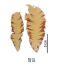 ARA기술행정사무소 이미지