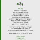 계수나무 - 달서구 상인동 | 계수나무