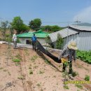 이팝농장 이미지