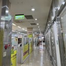 그루밍 멈머 이미지