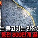 전남 신안 앞바다에서 끌어올린 14세기 선박에서 동전 800만개 나와 이미지